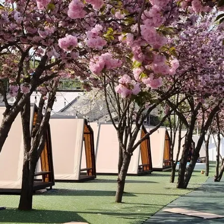 Cheongdo Provence Glamping
