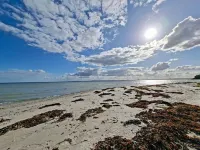 4 Star Holiday Home in Knebel - Wifi