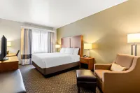 Comfort Inn & Suites Midtown - Mountain view