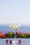 Almadraba Park Hotel - bar