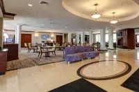 哈德利阿姆赫斯特萬怡酒店 - Wi-Fi