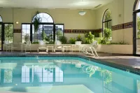 Embassy Suites by Hilton Kansas City International Airport - Pools