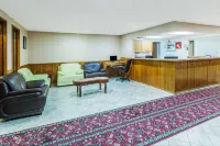 Super 8 by Wyndham Irving DFW Airport/South - 2 Sao