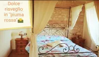 Il Poggio Dei Pettirossi Appartamento