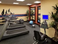 Hampton Inn by Hilton North Bay - Gym