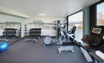 a well - equipped gym with various exercise equipment , including treadmills and weight machines , in a spacious room with large windows at Hilton Garden Inn Zurich Limmattal