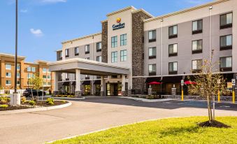 Comfort Inn & Suites Niagara Falls Blvd USA