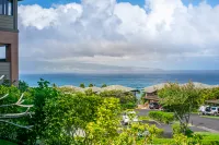 Kapalua Villas Maui - Ocean View