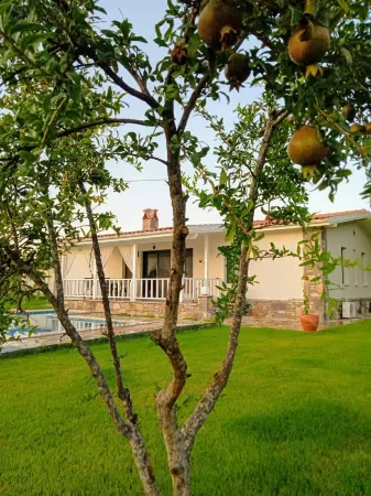 Villa in a Pomagranate Orchard