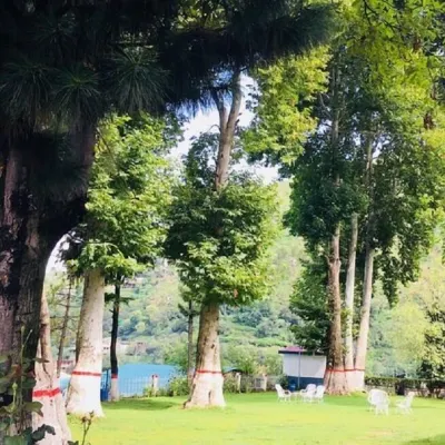 Imperial Hotel Miandam Hotels in Miandam