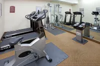 Holiday Inn Express & Suites DECATUR by IHG - Gym