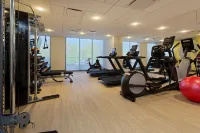 Hilton Garden Inn Boston Brookline, Ma - Gym
