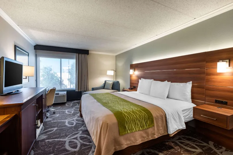 Comfort Inn Anaheim Resort