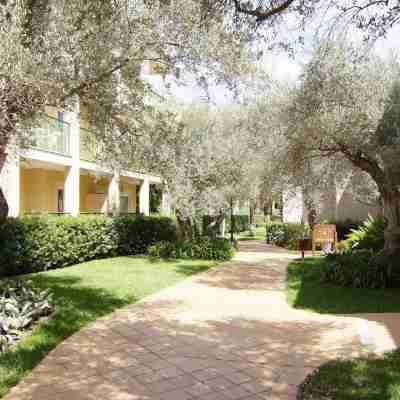 Zafiro Cala Mesquida Hotel Exterior