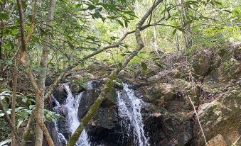 Pousada Recanto Dos Manacas