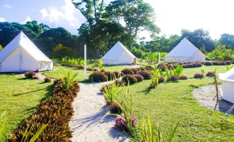 a tropical resort with white tents and palm trees , surrounded by lush greenery and blue skies at Le Life Resort