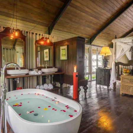 Madulkelle Tea and Eco Lodge