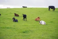 狩獵地農場住宿加早餐旅館