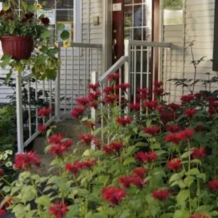 The Inn at the Ninth Hole Bed & Breakfast