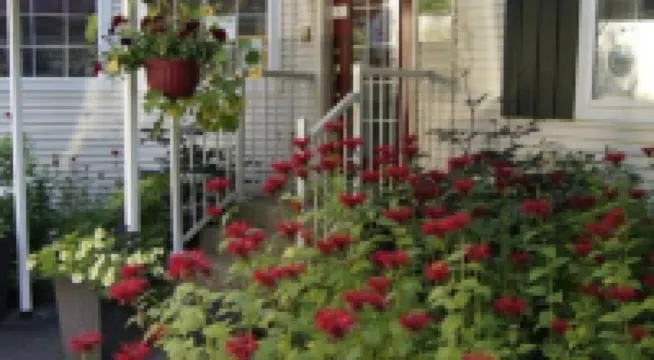 The Inn at the Ninth Hole Bed & Breakfast