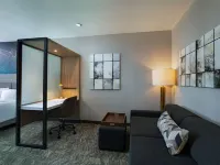 SpringHill Suites by Marriott Austin North Hotels in Austin