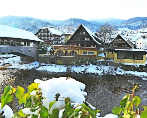 Das Waldhaus (Hotel) Hotels in Forbach