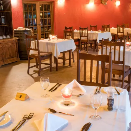 Sefapane Lodge and Safaris