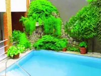 Hotel Palmas del Sol - Pools