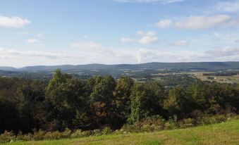 a view of a forested hillside with a clear blue sky and distant hills in the distance at Hampton Inn Hazleton