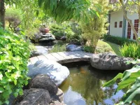 Novilla Boutique Resort