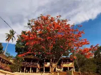 Rustique Rue Mabini - Hostel Hotels in Mabini
