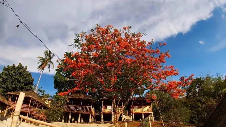 Rustique Rue Mabini - Hostel