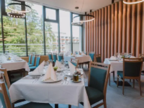 Ensana Ursina Hotels in Sovata