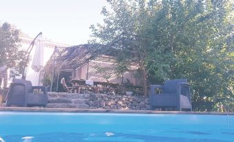 Autour du Hamac - Housity