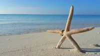 Jerrys Dive Lodge Rasdhoo 벨리간두 호텔