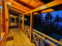 Mid Conifer