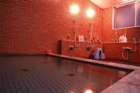 旅館 はやし別館