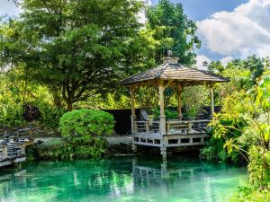 Find Peace - Bird Tiny House in Japanese Garden