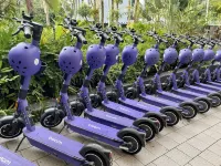 Hilton Cairns - gimnasio