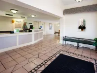 La Quinta Inn by Wyndham Austin Oltorf Hotels near SoCo District