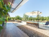 Il Vitigno - Pools