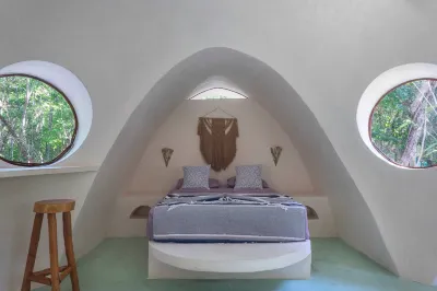 Unique Jungle Dome 2 Queen Beds