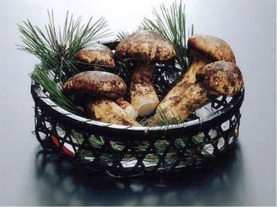 その他 囲炉裏会席と樹氷の宿　不動温泉　華菱（はなびし）の写真