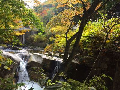 ホテル周辺 奥利根温泉 ホテルサンバードの写真