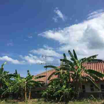 Guest House Shimaotoya <Iriomotejima> Others