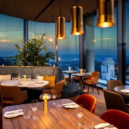 Radisson Blu Hotel at Porsche Design Tower