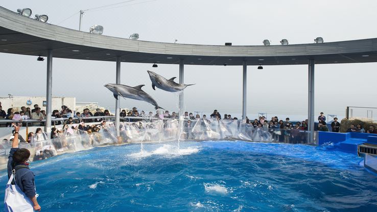 호텔 조식 뷔페