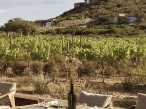 Khách sạn sang trọng Phổ Biến Tại Baja California