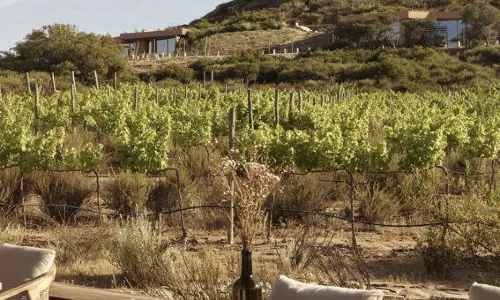 Banyan Tree Veya, Valle de Guadalupe - A Wellbeing & Wine Resort