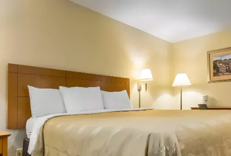 Quality Inn & Suites